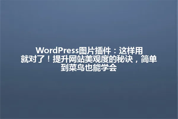 WordPress图片插件：这样用就对了！提升网站美观度的秘诀，简单到菜鸟也能学会 一